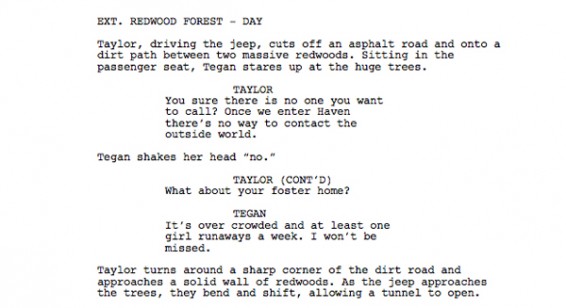 Script Breakdown Colors